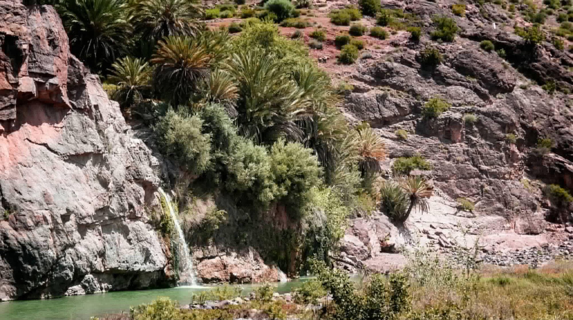 Cascade dans canyon, palmiers et eau émeraude au pied de falaises rouges