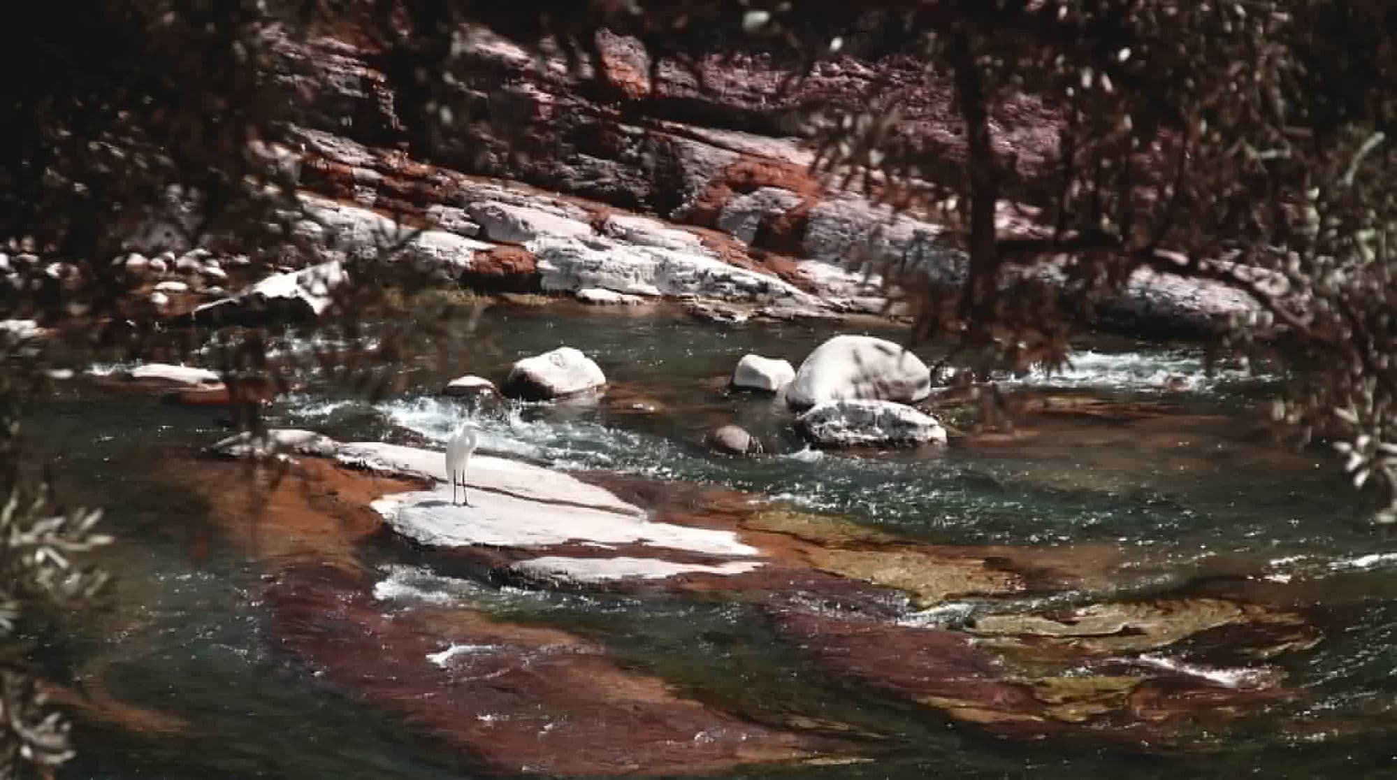 Rivière aux roches ocre avec une aigrette blanche posée sur un rocher